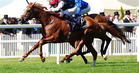Ascot Gold Cup Odds: Kyprios on track for a second success.